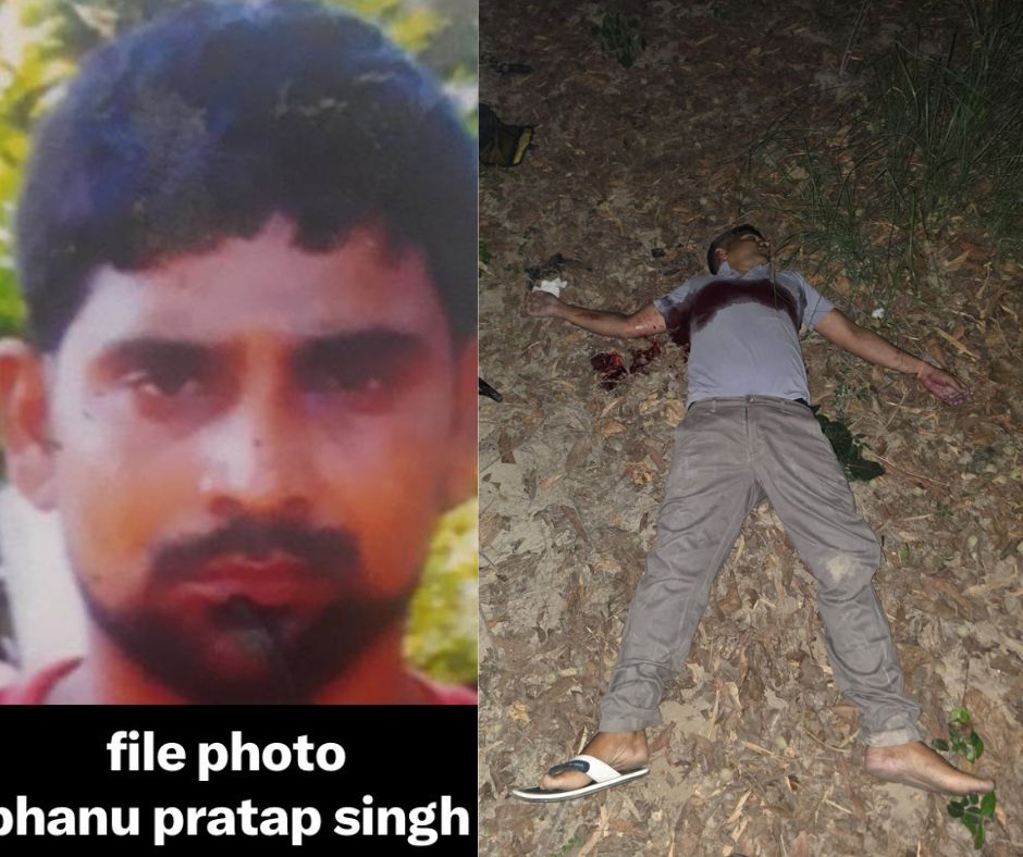 भानु प्रताप